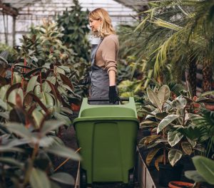 Greenhouse worker transporting plants in a wheelbarrow, highlighting the specialized staffing solutions for plant handling and care in greenhouses provided by Workvantage.