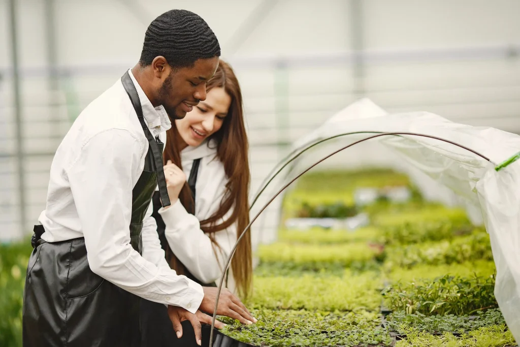 gardeners-greenhouse-are-working-guy-girl-aprons-plant-care Two workers inspecting plants in a greenhouse, highlighting Workvantage's agricultural and greenhouse recruitment services.