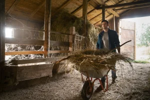 Agricultural worker transporting hay with a wheelbarrow in a barn, symbolizing Workvantage's services in hiring qualified staff for agricultural work in Canada.