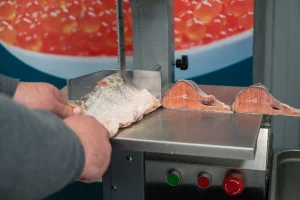 Empleado de Workvantage operando maquinaria de precisión para cortar pescado fresco, mostrando servicios de procesamiento de pescado modernos y eficientes.