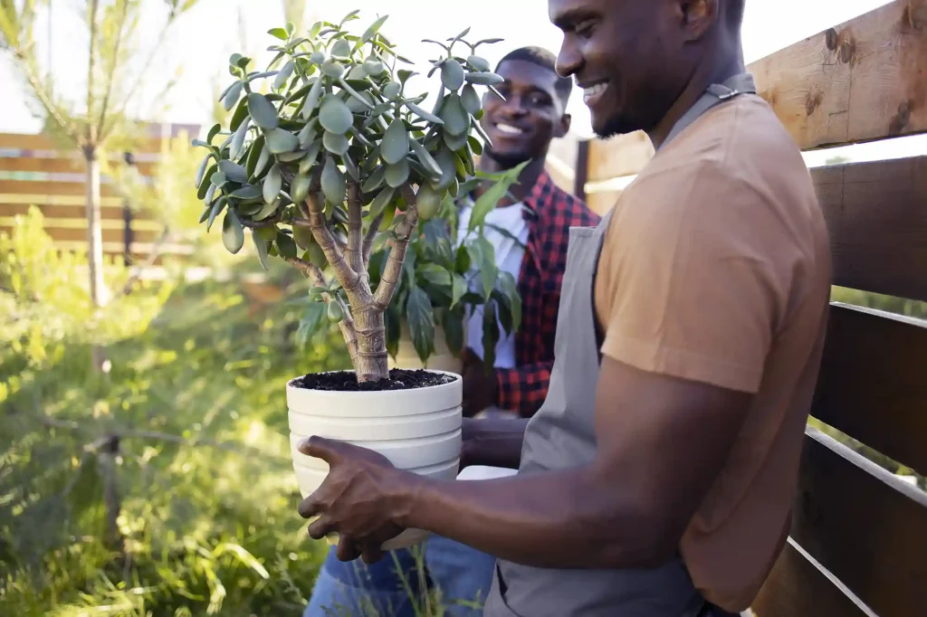 Two smiling men carrying a potted plant in a garden, symbolizing teamwork and horticulture.