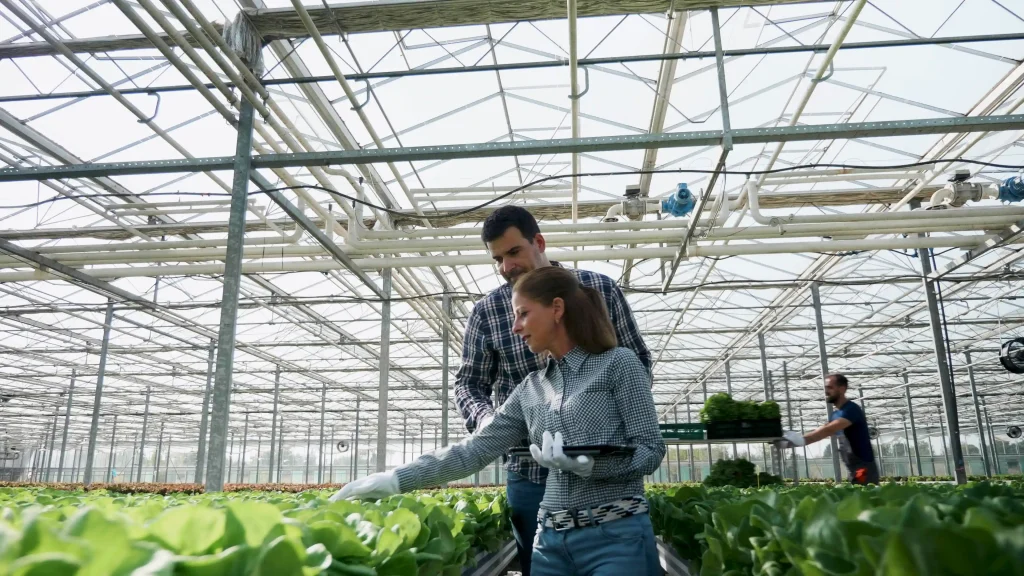 Agriculteurs inspectant les cultures dans une serre moderne, illustrant les pratiques agricoles avancées et l'innovation durable soutenues par Workvantage.