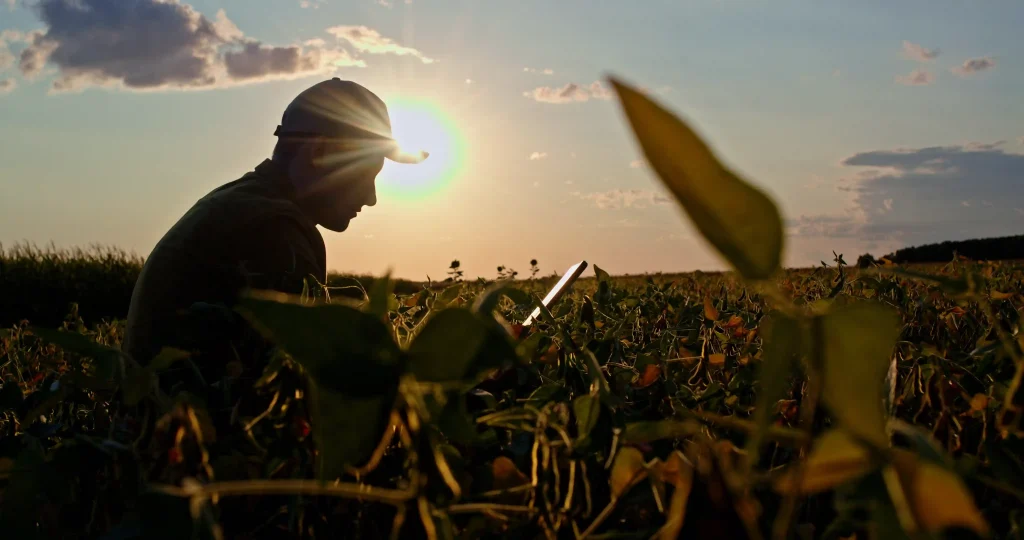 Agriculteur travaillant au coucher du soleil dans un champ, représentant l'engagement de Workvantage envers une agriculture durable au Canada.