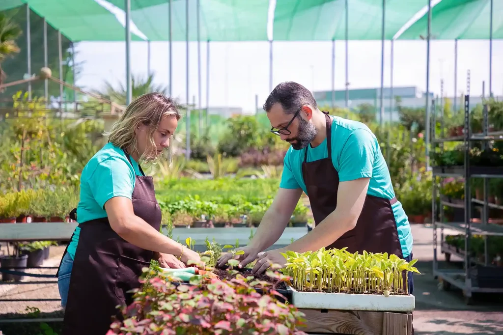 Travailleurs agricoles dans une serre, préparant des plants pour une production durable, représentant les solutions de recrutement offertes par Workvantage.