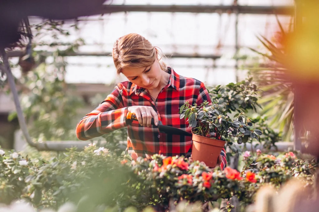 woman-gardner-looking-after-plants-greenhouse-2 Greenhouse worker tending to a potted plant, highlighting the specialized staffing solutions for gardening and plant care in greenhouses provided by Workvantage.
