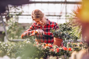 Greenhouse worker tending to a potted plant, highlighting the specialized staffing solutions for gardening and plant care in greenhouses provided by Workvantage.